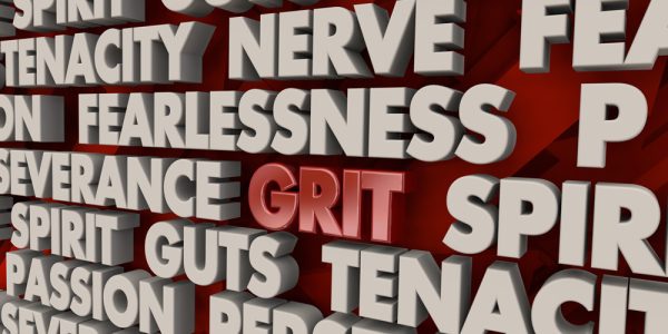 Grit – trăsătura de caracter forte a companiilor cu viziune